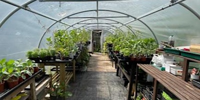 Imagen principal de Growing in your greenhouse or polytunnel