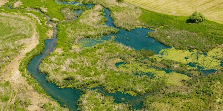 LES PAYSAGES DU MARAIS