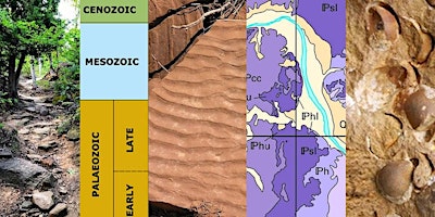 Hauptbild für Turkey Rocks! The Geology of Turkey Mountain for the non-Geologist Tour