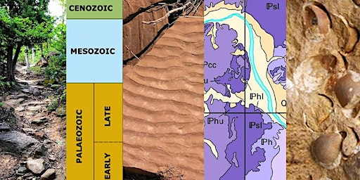 Turkey Rocks! The Geology of Turkey Mountain for the non-Geologist Tour primary image