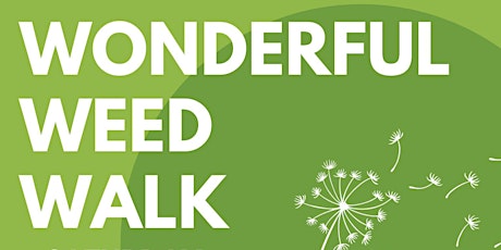 Wonderful weeds walk - Spring edition