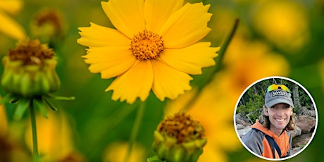 Imagen principal de In Person at West 7th: Native Plants for Pollinator-Friendly Gardens