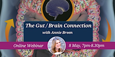 Hauptbild für CNM Ireland Online Health Talk: The Gut/Brain Connection 8 May 2024