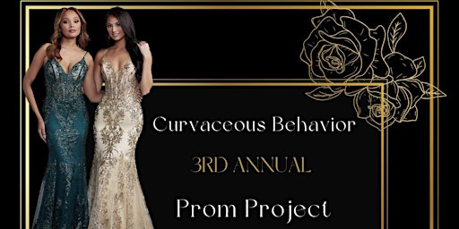 Hauptbild für 3rd Annual Prom Project: Free Prom Dresses