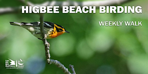 Primaire afbeelding van Higbee Beach Birding