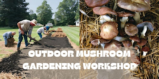 Outdoor Mushroom Gardening Workshop: King Stropharia... Garden Giant... Wine Cap, OH MY!  primärbild