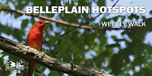 Hauptbild für Belleplain Hotspots