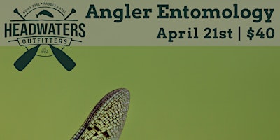 Imagem principal do evento Angler Entomology