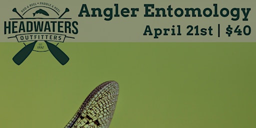 Immagine principale di Angler Entomology 