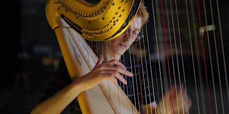 In concert: Hanne Darboven, Harp Solo - Opus 45 (1998 - 2000) primary image