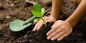 Gardening with Kids primary image