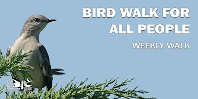Imagem principal do evento Bird Walk for all People