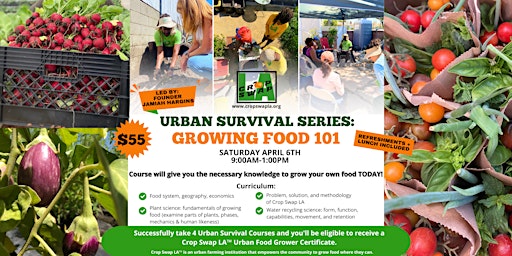 Imagem principal do evento Urban Survival: Growing Food 101