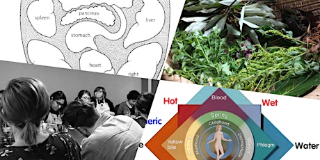 Hauptbild für Intro to Herbal Energetics (Hot/Cold, Damp/Dry) and Constitutions