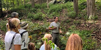 Spring Seasonal Walk with Ethnoecologist, Justin Wexler primary image