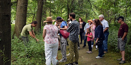 Summer Seasonal Walk with Ethnoecologist, Justin Wexler