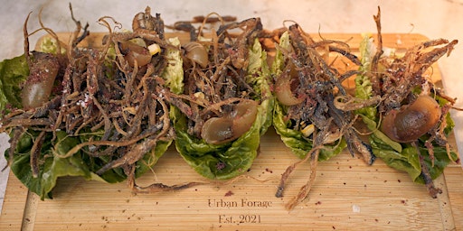 Image principale de Forage and Feast Forage walk with Wild Lunch, Brighton Foraging. Vegan