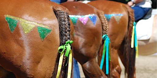 Hauptbild für REINS Spring Classic: A Fun Day Horse Show (2024)