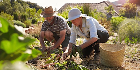 Become a Thrifty Gardener – Reduce, Reuse and Recycle in the Garden