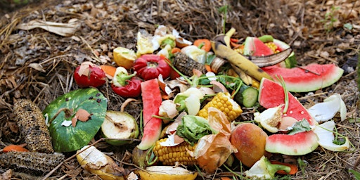Imagem principal de Composting and Worm Farming