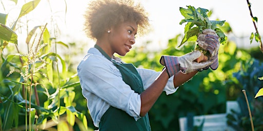 Imagen principal de How Sustainable Is Your Garden? Workshop