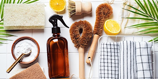 DIY Multi-purpose Cleaner and Shower Scrub primary image