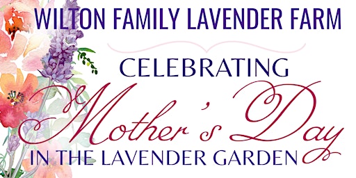 Immagine principale di Mother's Day In The Lavender Farm 