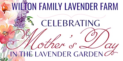 Imagem principal do evento Mother's Day In The Lavender Farm