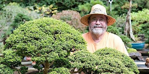 Introduction to Bonsai with Rodney Clemmons primary image