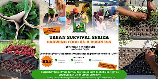 Imagem principal do evento Urban Survival: Growing Food As a Business