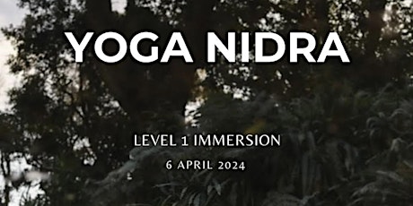 LEVEL 1 - THE FOUNDATIONS OF YOGA NIDRA IMMERSION