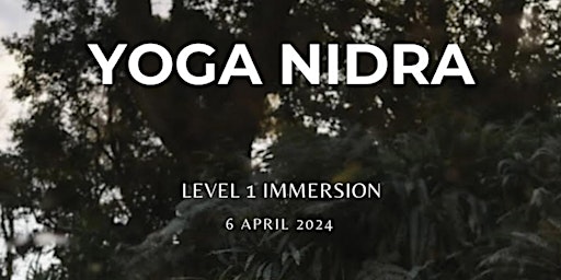 LEVEL 1 - THE FOUNDATIONS OF YOGA NIDRA IMMERSION primary image