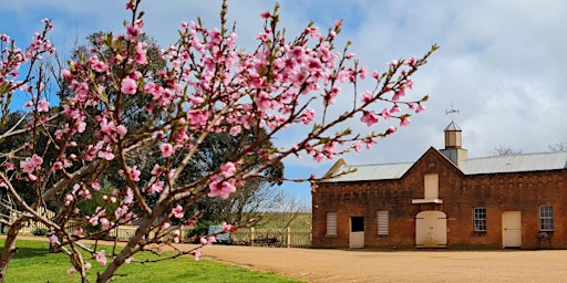 Imagem principal do evento Cooma Cottage En Plein Air Workshop