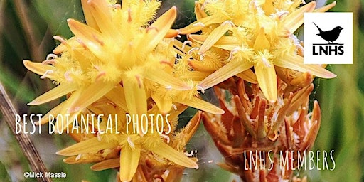 Hauptbild für Best Botanical Photos London Natural History Society