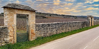 Immagine principale di Pressoir Dinner - Domaine Leflaive 