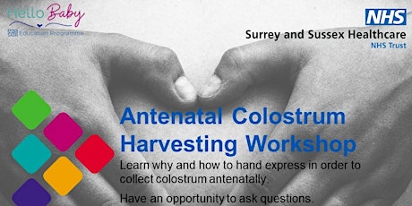 Antenatal Colostrum Harvesting Workshop (Virtual Session From 34-40 weeks)