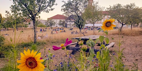 RENDEZ-VOUS AUX JARDINS : LES 5 SENS