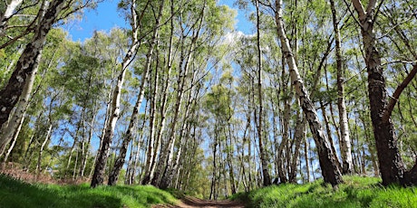 Forest Bathing+ An Introduction at RSPB The Lodge: Saturday 8th June