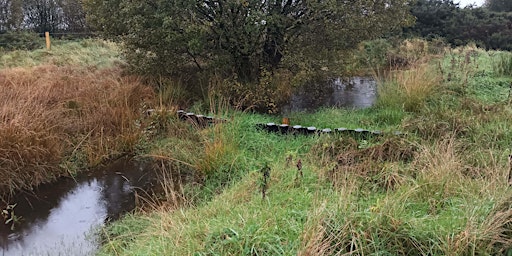 Hauptbild für Field Trip - Agricultural Peat Soils