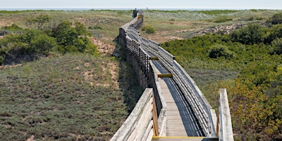 Free BIPOC -Led Bird Watching Walk at Parker River National Wildlife Refuge primary image