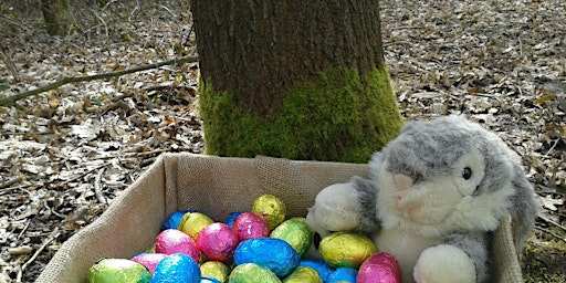 Primaire afbeelding van Easter Eggstravaganza at Carlton Marshes (ECC 2511)