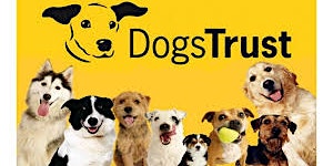 Primaire afbeelding van Be Dog Smart with the Dogs Trust at Wareham Library