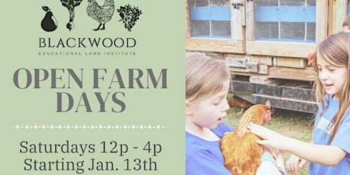 Open Farm Days at Blackwood Landfarm primary image