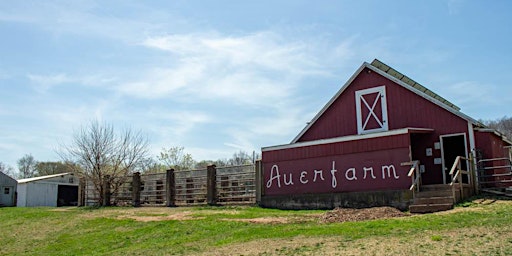 Primaire afbeelding van Goat Walks at Auerfarm