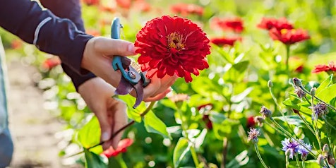 Hauptbild für Flower farm tour and flower arranging workshop - Part 1