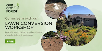 Hauptbild für DIY Lawn Conversion Workshop