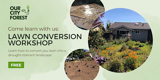 DIY Lawn Conversion Workshop primary image