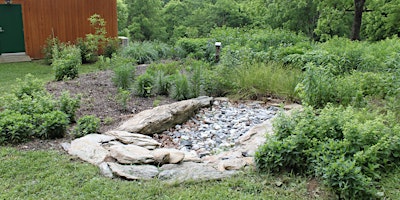 Imagem principal do evento Habitat Advocate: Native Garden Design for Stormwater Management
