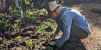 Imagem principal do evento Habitat Advocate: Native Garden Design/Build/Steward Workshop