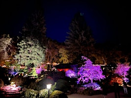 Imagen principal de HANAMI AT HAKONE NIGHT VIEWING, presented by NETGEAR